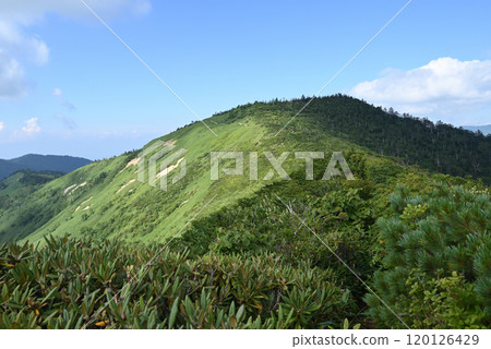 Climbing Mount Shirasuna, Gunma Prefecture 120126429
