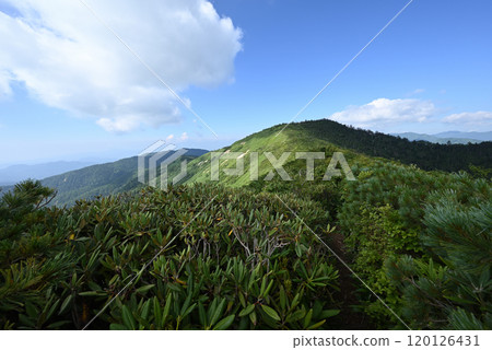 攀登群馬縣白砂山 120126431
