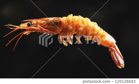 Crispy fried shrimp isolated on black background. 120126683