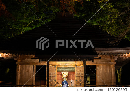 秋葉環繞的中尊寺點燈 120126895