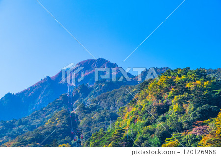 Mt. Gozaisho seen from the base of the mountain as the leaves begin to turn red. Mt. Gozaisho seen from the base of the mountain as the leaves begin to turn red. 120126968