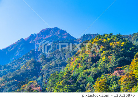 從山麓看到的御在所山,樹葉開始變色 從山麓看到的御在所山,樹葉開始變色 120126970