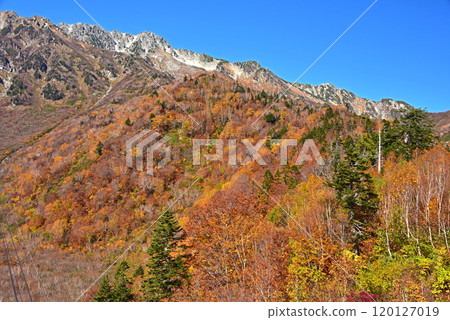 立山黑部阿爾卑斯山路線黑部平的紅葉 120127019