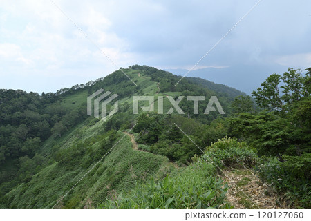 攀登群馬縣白砂山 攀登群馬縣白砂山 120127060