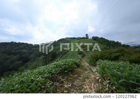 攀登群馬縣白砂山 攀登群馬縣白砂山 120127062