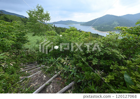 Climbing Mount Shirasuna, Gunma Prefecture 120127068