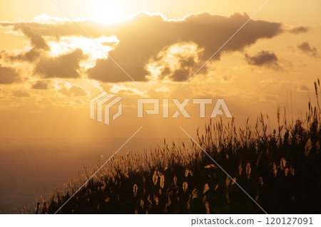 Snow White shining in the setting sun Snow White shining in the setting sun 120127091