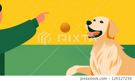 A person is playing with a golden retriever, who eagerly watches a ball being tossed 120127256