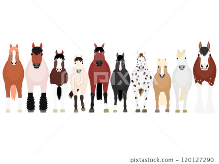 各種馬,排成一排,前面 各種馬,排成一排,前面 120127290