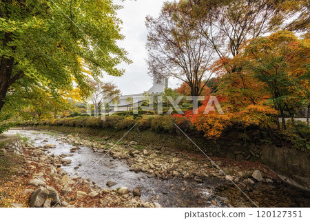 Baeron Holy Ground Autumn Creek Baeron Holy Ground Autumn Creek 120127351