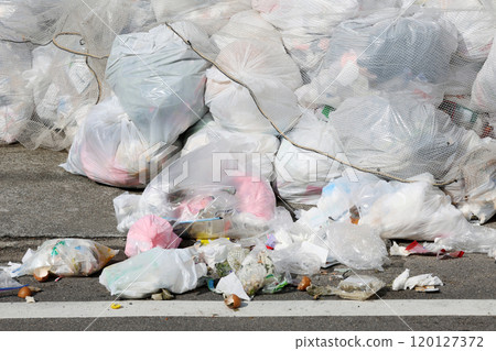 Littered food waste 120127372