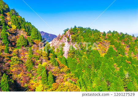 禦在所山和基列山的紅葉 120127529