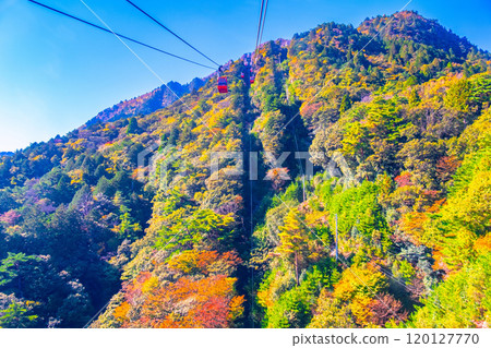 禦在所索道和秋葉 120127770