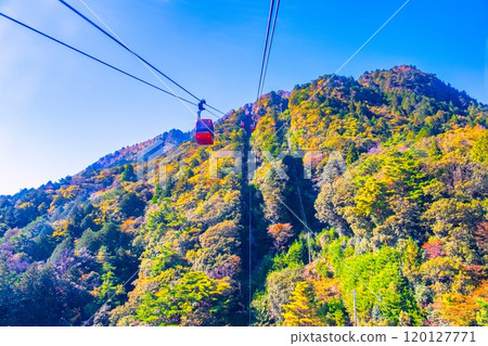 Gozaisho Ropeway and autumn leaves Gozaisho Ropeway and autumn leaves 120127771