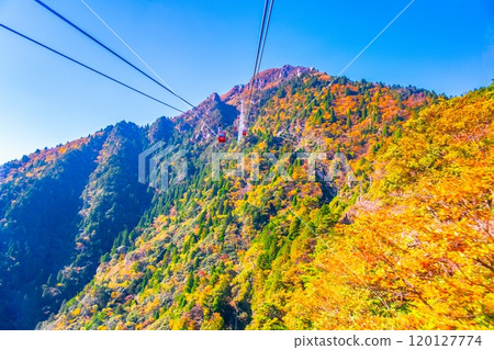 禦在所索道和秋葉 禦在所索道和秋葉 120127774