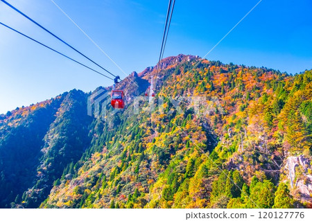 Gozaisho Ropeway and autumn leaves 120127776