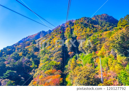 Gozaisho Ropeway and autumn leaves Gozaisho Ropeway and autumn leaves 120127792