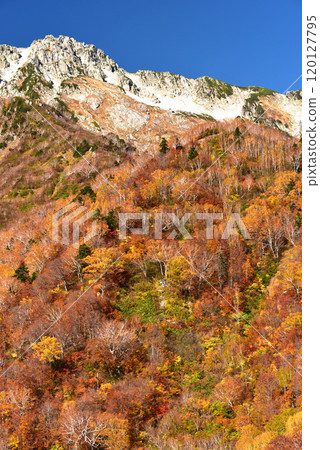 Autumn leaves on the Tateyama Kurobe Alpine Route, Kurobedaira 120127795