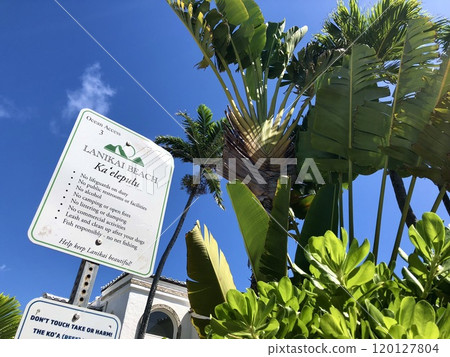 Lanikai Beach entrance in Hawaii 120127804
