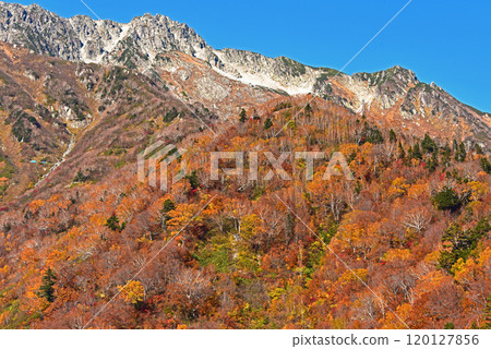 Autumn leaves on the Tateyama Kurobe Alpine Route, Kurobedaira Autumn leaves on the Tateyama Kurobe Alpine Route, Kurobedaira 120127856