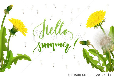 Banner hello summer dandelion seed background lettering 120128014