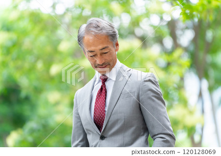 Business Senior Male Portrait Fresh Green Business Senior Male Portrait Fresh Green 120128069