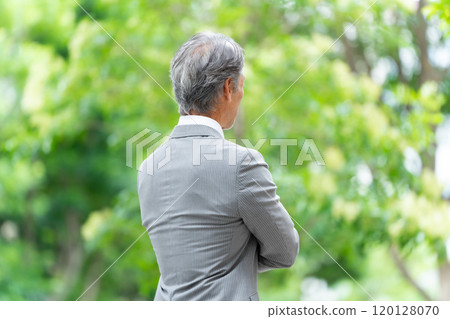 Business Senior Male Portrait Fresh Green Business Senior Male Portrait Fresh Green 120128070
