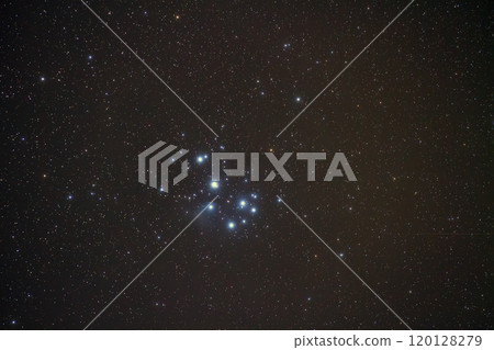 Ple宿星團 120128279