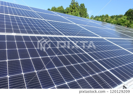 Solar panels lined up under a clear blue sky at a solar power plant Solar panels lined up under a clear blue sky at a solar power plant 120129209