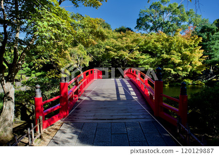 A beautiful Japanese garden in Sanin with a vermilion bridge 120129887