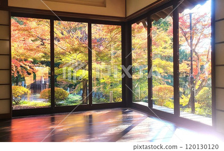 福島分折觀音「水月庵」地板上的秋葉 120130120