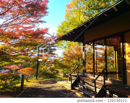 Beautiful autumn leaves at Bunchizuri Kannon (Fukushima City) 120130121