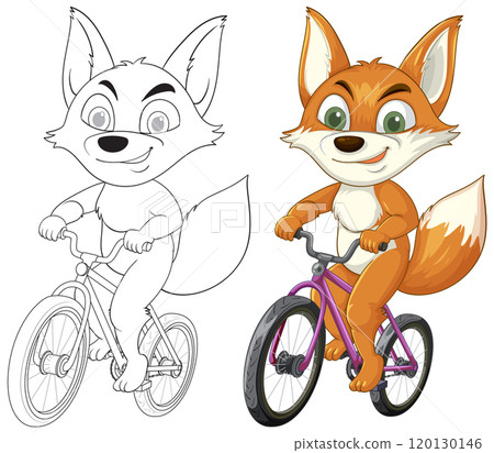 Fox Riding a Bicycle Illustration Fox Riding a Bicycle Illustration 120130146