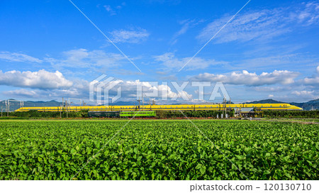 Doctor Yellow and Omi Railway (Oi Ocha) run parallel to each other Doctor Yellow and Omi Railway (Oi Ocha) run parallel to each other 120130710