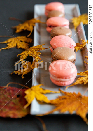 長音符號 120131215