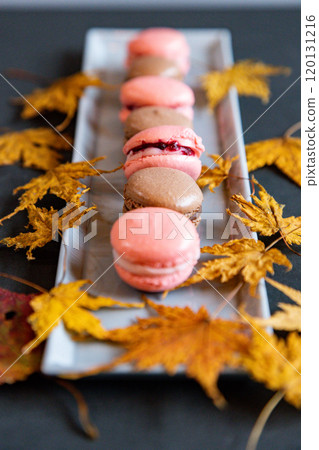 長音符號 長音符號 120131216