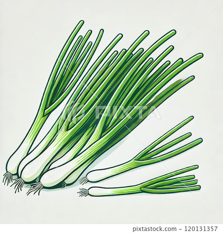 Simple illustration material of green onion 120131357