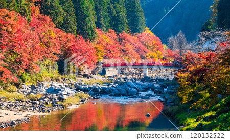 香蘭溪(秋季) 香蘭溪(秋季) 120132522