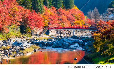 Korankei (Autumn) 120132524