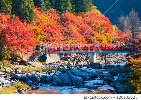 Korankei (Autumn) Korankei (Autumn) 120132525