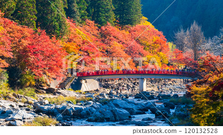 Korankei (Autumn) 120132528