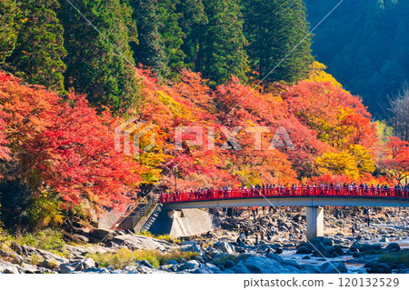 Korankei (Autumn) 120132529