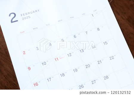 2025 Calendar (February) 120132532
