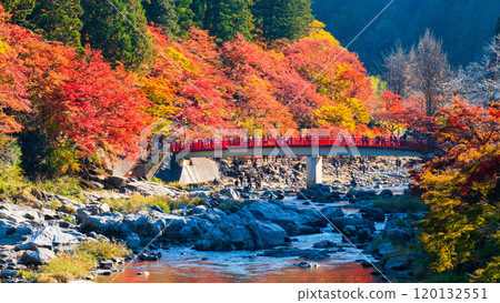 香蘭溪（秋季） 120132551