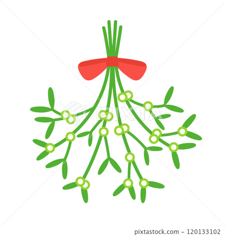Christmas mistletoe illustration Christmas mistletoe illustration 120133102
