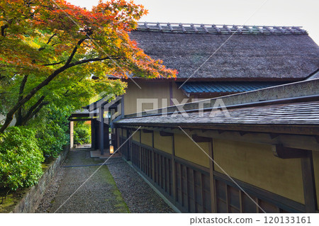 洋光館的雪景 洋光館的雪景 120133161