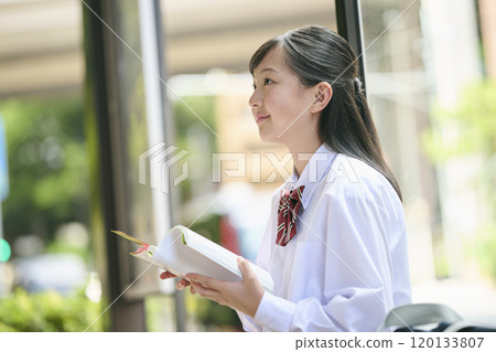 A female junior high school student reading a textbook at a bus stop A female junior high school student reading a textbook at a bus stop 120133807