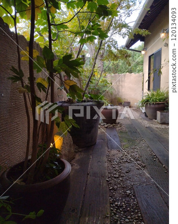 有熱帶植物的房子 120134093