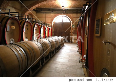 Italian Barolo winery aging barrels 120134256