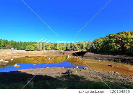 玉川溜池秋葉和池塘乾燥 120134266